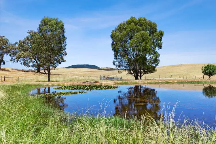 Main view of Homely house listing, 20 Strawhorns Lane, Franklinford VIC 3461