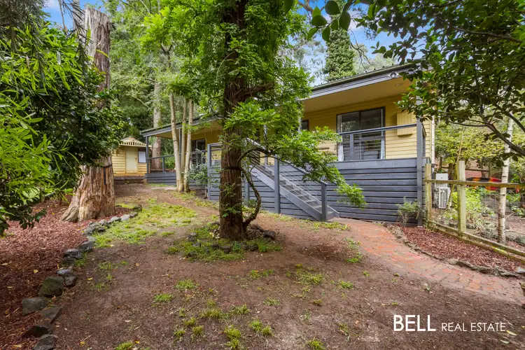 19 Alexander Road, Cockatoo VIC 3781