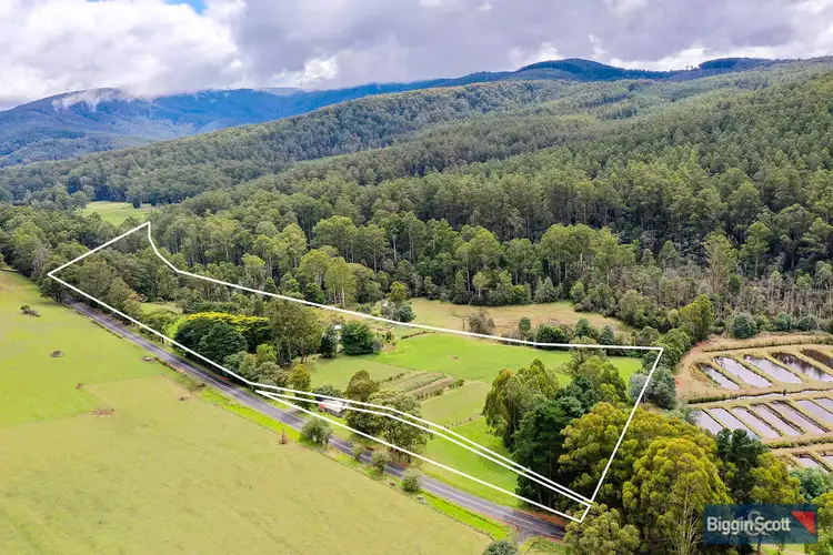 Second view of Homely rural property listing, 65 Mt Baw Baw Tourist Road, Piedmont VIC 3833