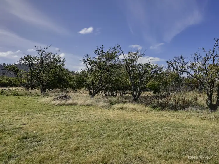 Seventh view of Homely land listing, 48 Arthur Highway, Dunalley TAS 7177