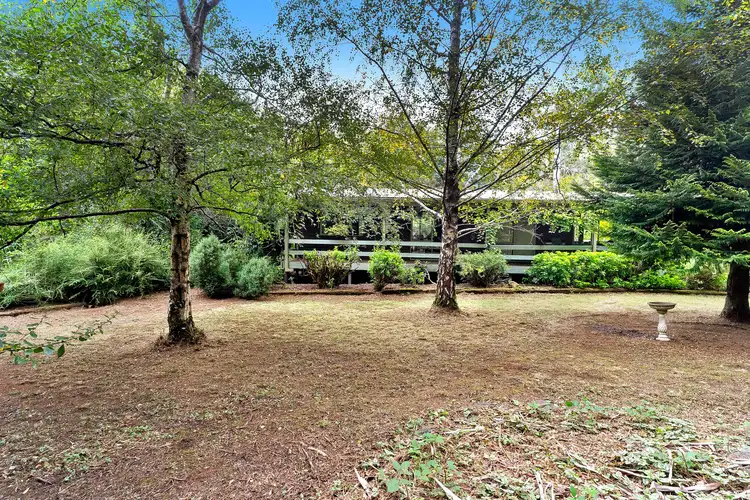 Sixth view of Homely house listing, 1504 Daylesford Trentham Road, Lyonville VIC 3461