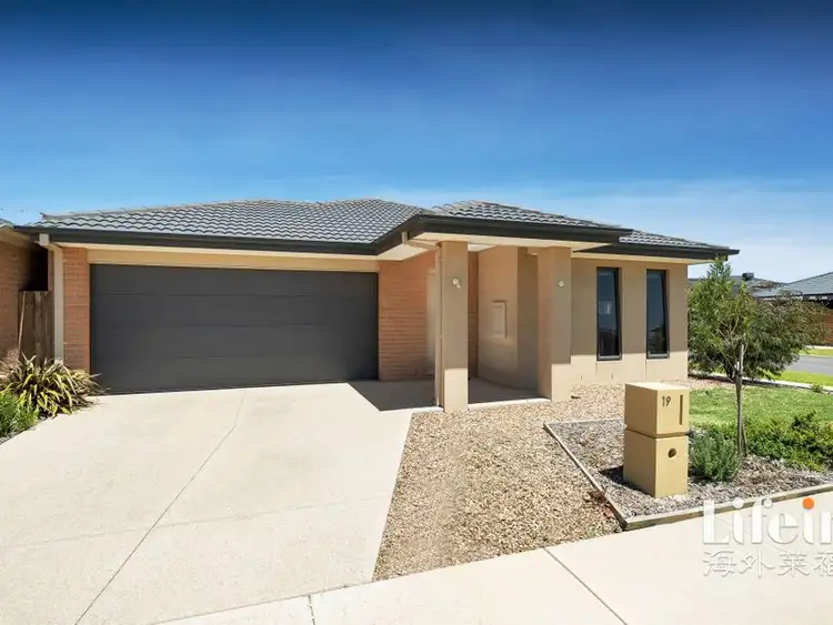 Main view of Homely house listing, 19 Maryborough Drive, Wyndham Vale VIC 3024