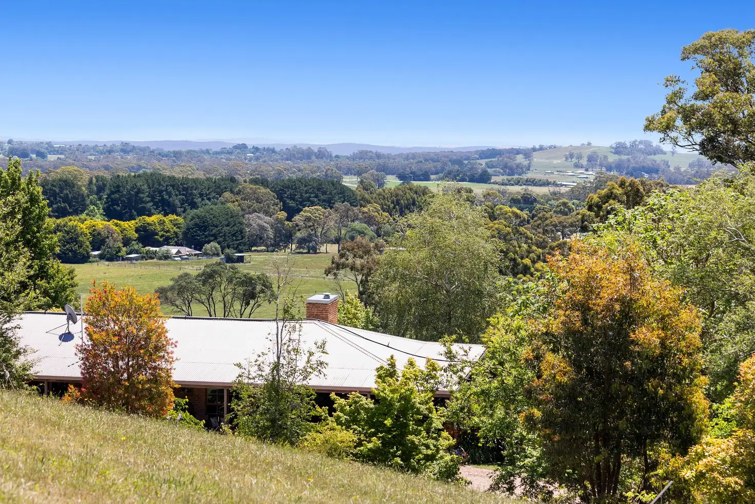 Main view of Homely house listing, 150 Currys Hill Road, Musk VIC 3461