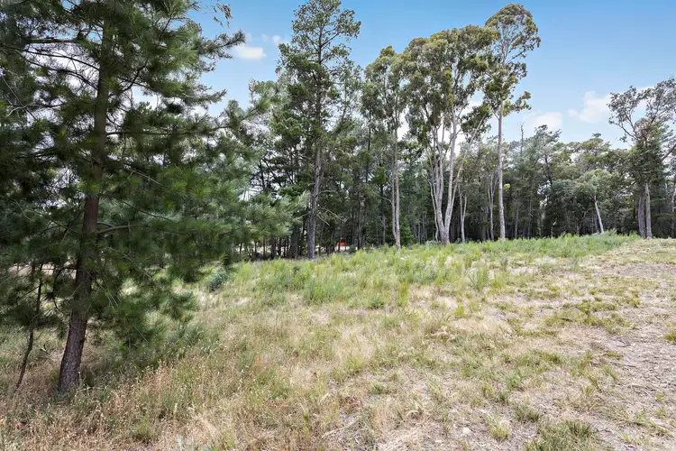 Fourth view of Homely land listing, 31 Fourteenth Street, Hepburn VIC 3461