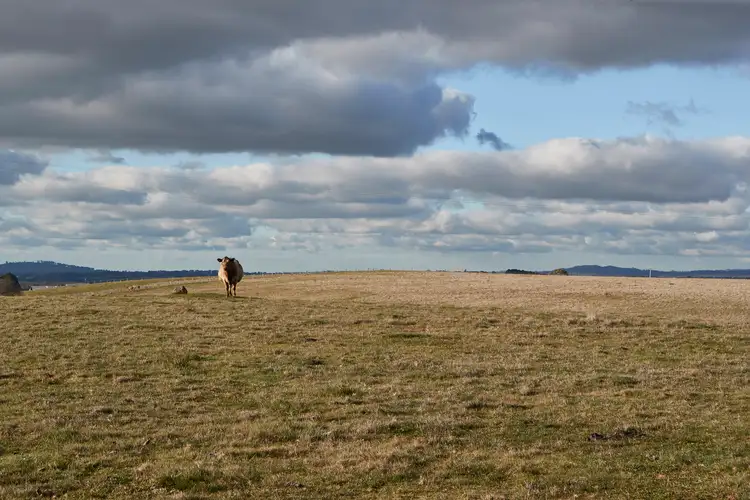Fifth view of Homely land listing, 1930 Daylesford Malmsbury Road, Drummond VIC 3461