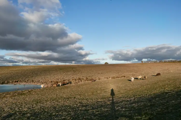 Seventh view of Homely land listing, 1930 Daylesford Malmsbury Road, Drummond VIC 3461