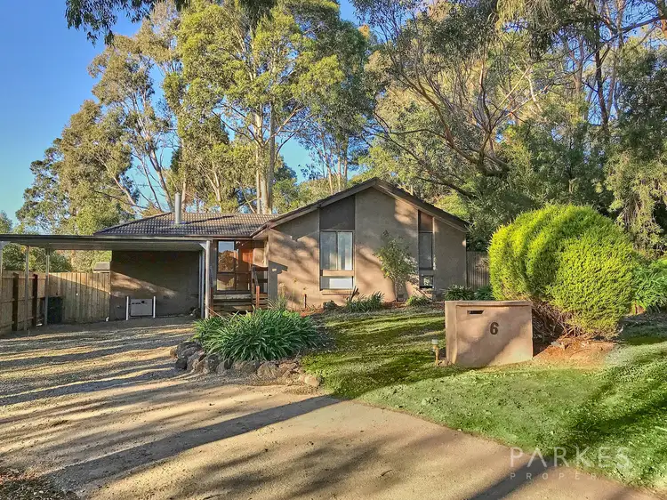Main view of Homely house listing, 6a Lorraine Court, Warranwood VIC 3134