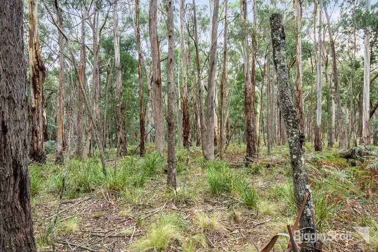 Main view of Homely land listing, 230 Whitegum Drive, Wheatsheaf VIC 3461
