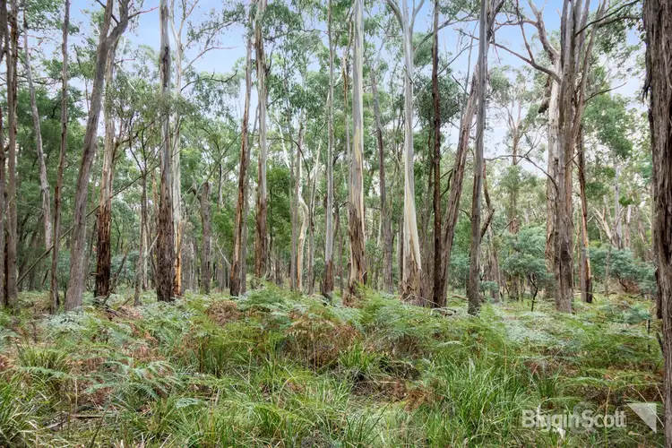 Third view of Homely land listing, 230 Whitegum Drive, Wheatsheaf VIC 3461