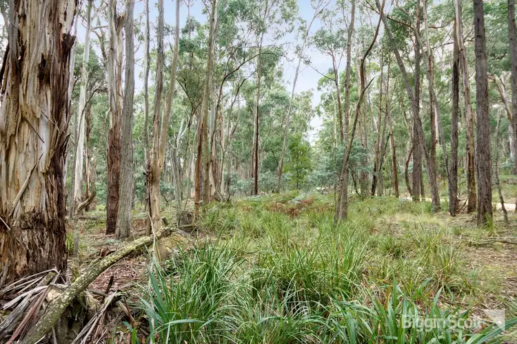 Fourth view of Homely land listing, 230 Whitegum Drive, Wheatsheaf VIC 3461