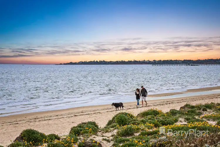 Sixth view of Homely house listing, 7 Birdwood Street, Aspendale VIC 3195