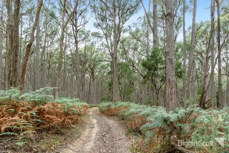 Fifth view of Homely land listing, 360 Long Swamp Road, Mollongghip VIC 3352