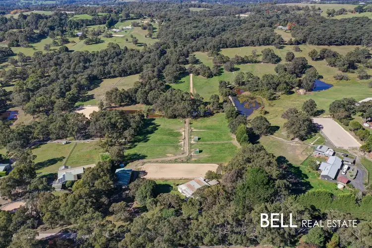Second view of Homely house listing, 12 Coopers Road, Macclesfield VIC 3782