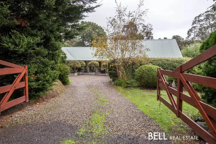 Main view of Homely house listing, 31 Temple Road, Selby VIC 3159
