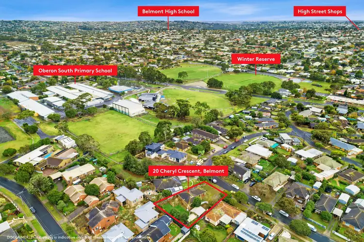Main view of Homely house listing, 20 Cheryl Crescent, Belmont VIC 3216