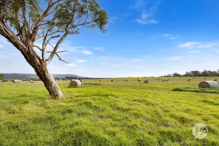 Fourth view of Homely rural property listing, 70 Wallaces Road, Dromana VIC 3936