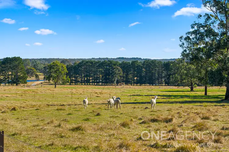 Fourth view of Homely rural property listing, 14820 Hume Highway, Marulan NSW 2579