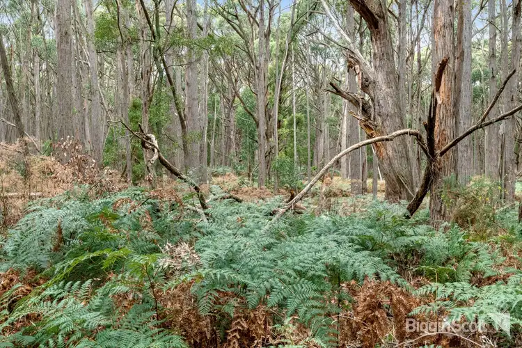 Fifth view of Homely land listing, Lot2A, 360 Long Swamp Road, Mollongghip VIC 3352