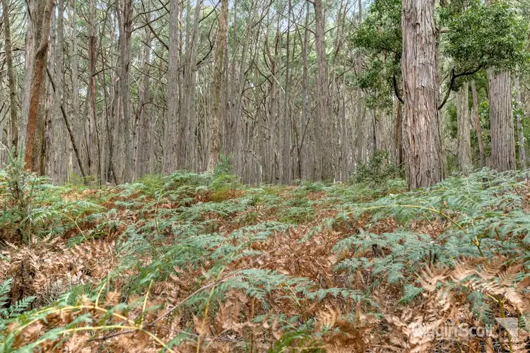Fifth view of Homely land listing, Lot2D, 360 Long Swamp Road, Mollongghip VIC 3352
