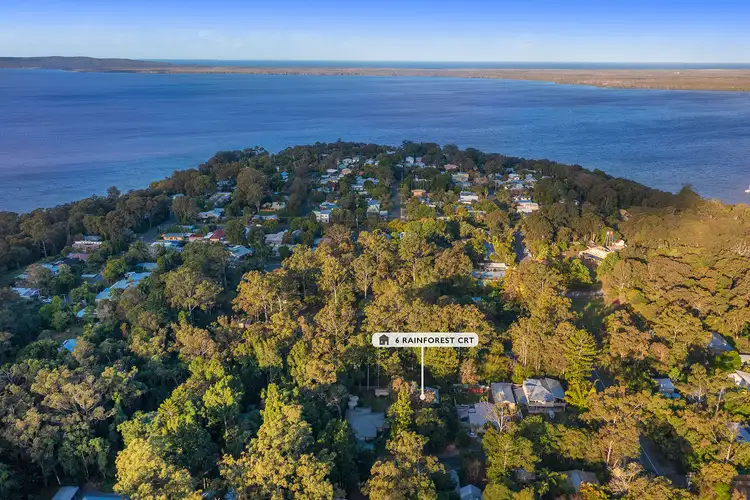 Third view of Homely house listing, 6 Rainforest Court, Boreen Point QLD 4565