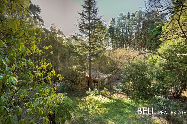 Second view of Homely house listing, 95 Emerald Monbulk Road, Emerald VIC 3782