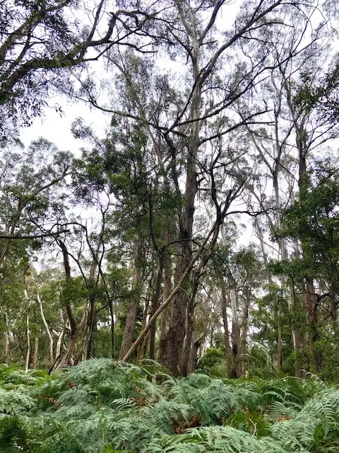 Third view of Homely land listing, Lot 10 Slatey Creek Road, Woodend VIC 3442