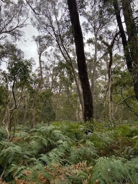 Fifth view of Homely land listing, Lot 10 Slatey Creek Road, Woodend VIC 3442