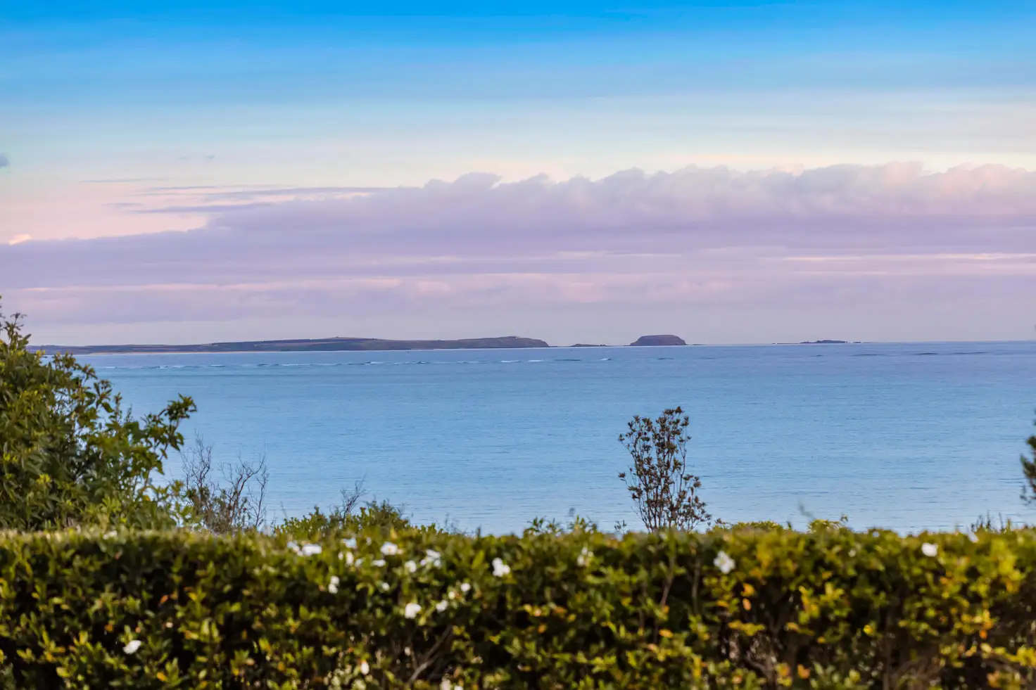 Main view of Homely house listing, 65 Tasman Road, Somers VIC 3927