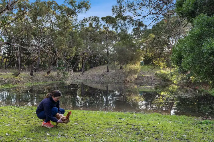 Fifth view of Homely house listing, 447 Grubb Road, Wallington VIC 3222