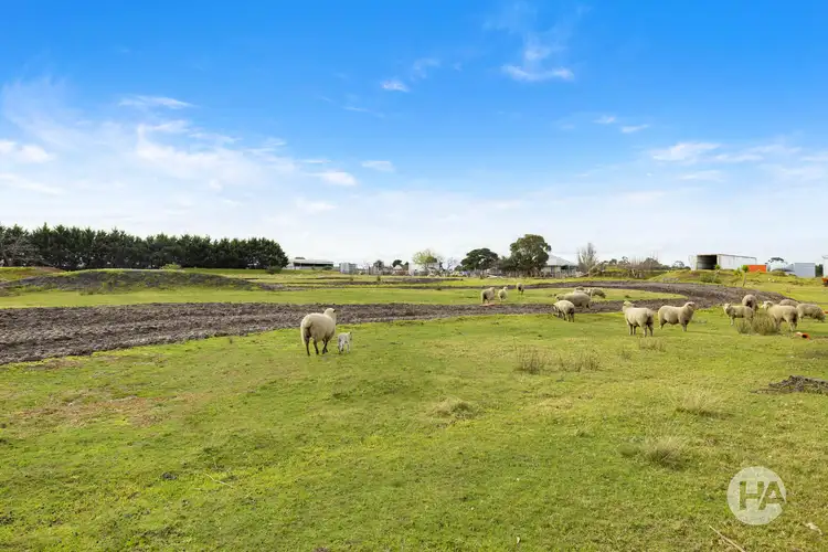 Third view of Homely rural property listing, 60 Bungower Road, Somerville VIC 3912