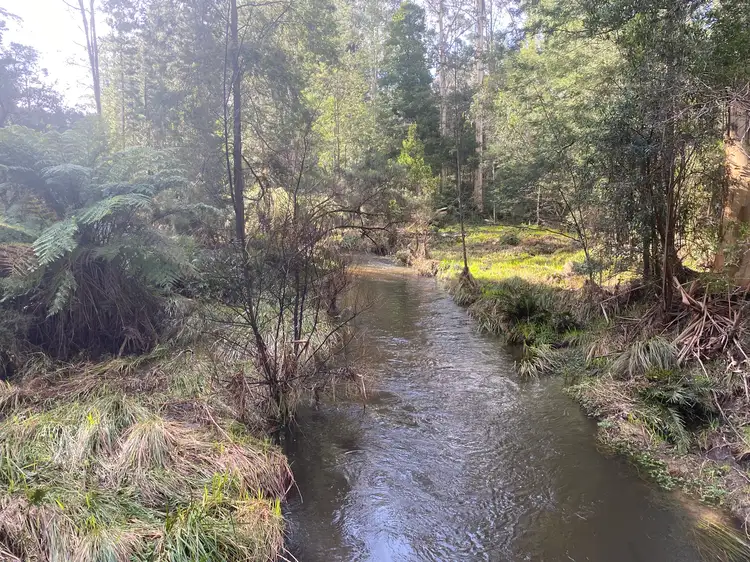 Second view of Homely rural property listing, 601 Loch Valley Road, Noojee VIC 3833