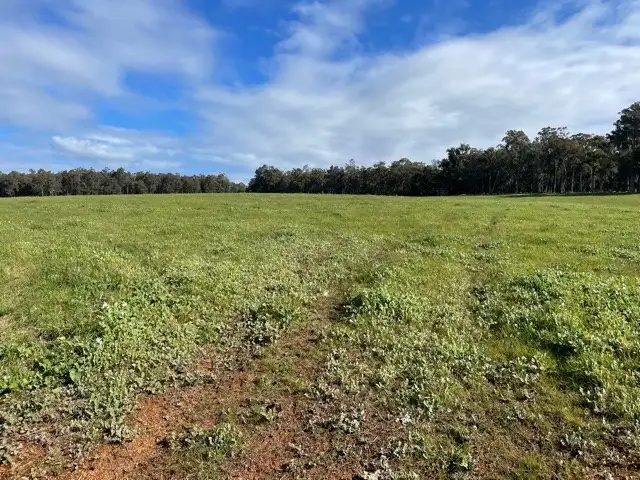 Fourth view of Homely rural property listing, Lot 8760 Catterick Road, Catterick WA 6255