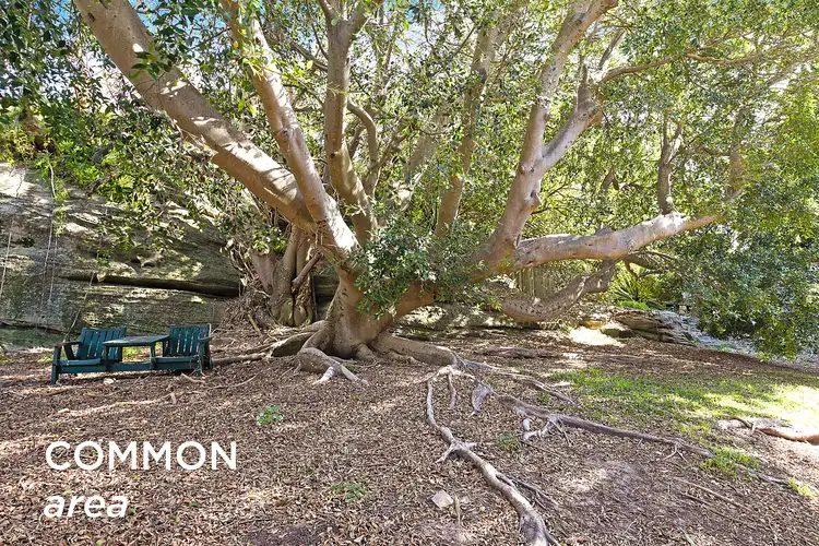 Sixth view of Homely apartment listing, 19/52 Carrington Parade, Curl Curl NSW 2096