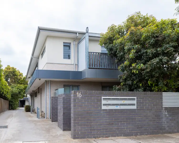 16 Kingsville Street