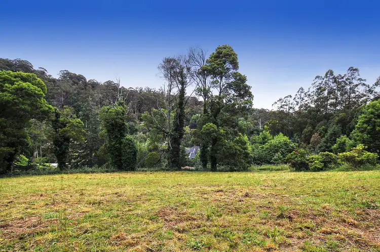 13 Wedgewood Avenue, Belgrave VIC 3160