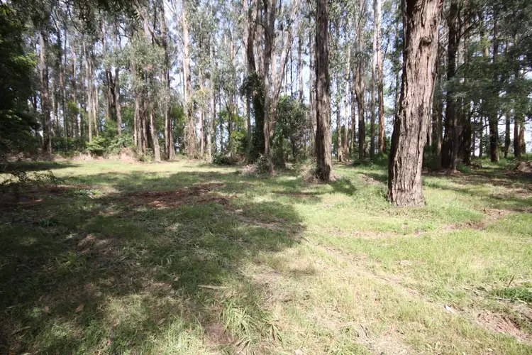 Second view of Homely land listing, Lot 3 Maisey Road, Gembrook VIC 3783