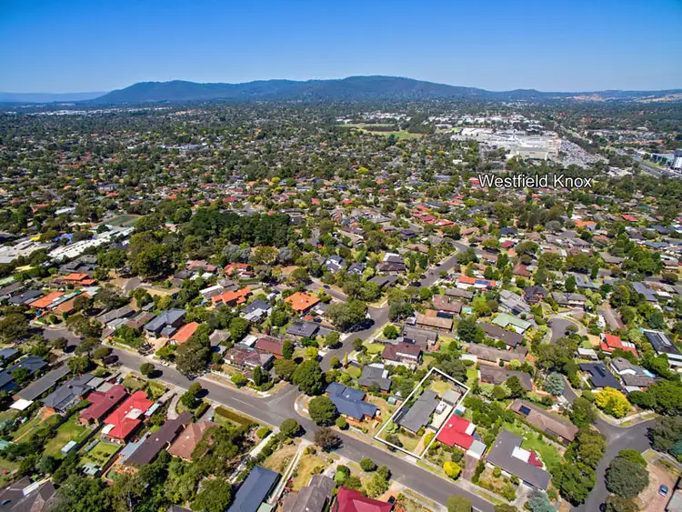 Third view of Homely house listing, 43 Cavendish Avenue, Wantirna VIC 3152