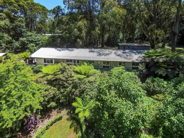 Main view of Homely house listing, 313 Mt Dandenong Tourist Road, Sassafras VIC 3787