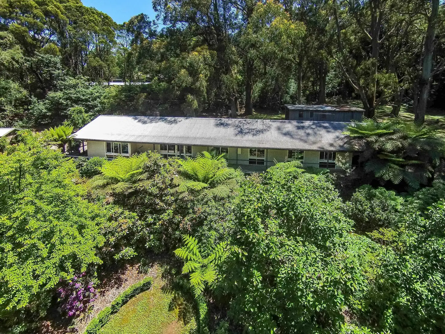 Main view of Homely house listing, 313 Mt Dandenong Tourist Road, Sassafras VIC 3787