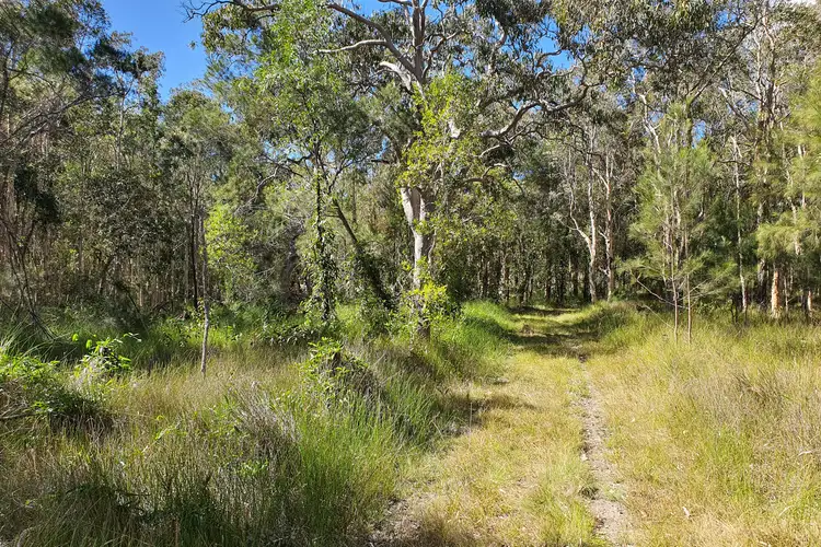 Main view of Homely land listing, 783 Mckinnon Drive, Cooroibah QLD 4565