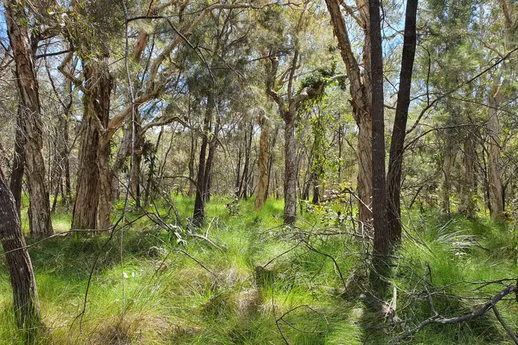 Seventh view of Homely land listing, 783 Mckinnon Drive, Cooroibah QLD 4565