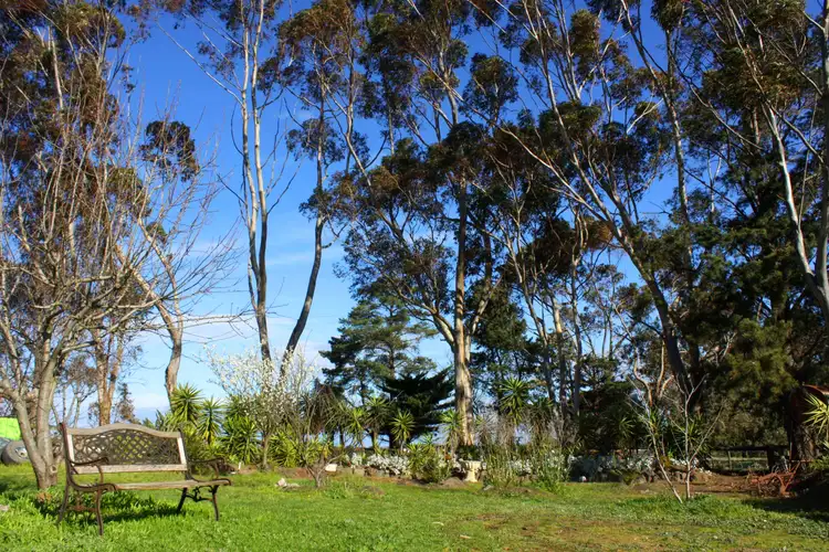 Third view of Homely rural property listing, 75 Noaki Street, Pearcedale VIC 3912