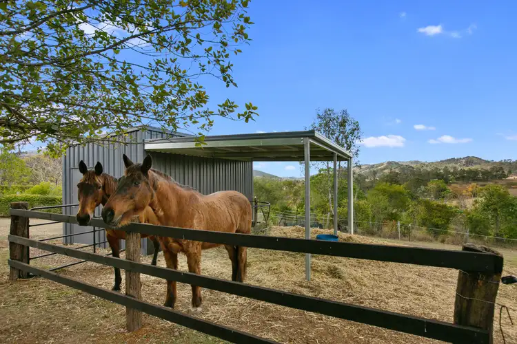 Main view of Homely rural property listing, 20 Reid Road, Widgee QLD 4570