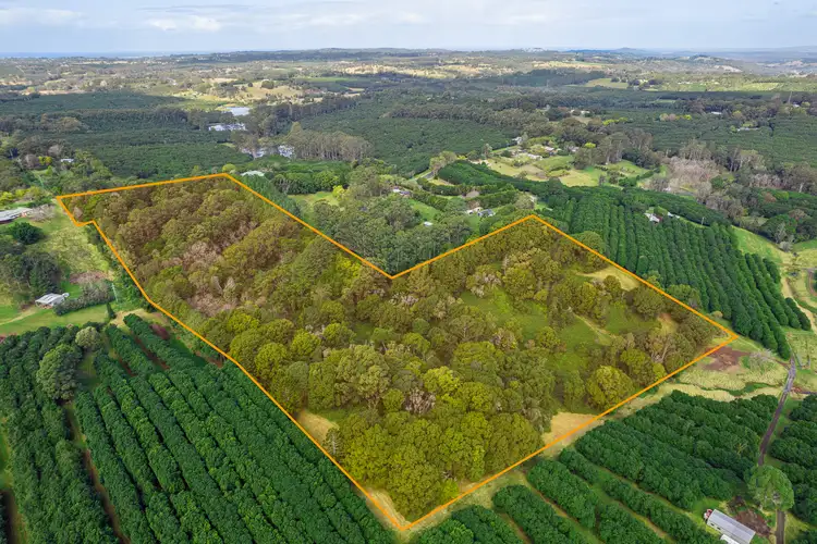 Second view of Homely rural property listing, 187 Alphadale Road, Lindendale NSW 2480