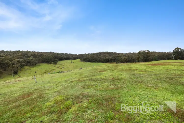 Second view of Homely land listing, 799 Basalt Road, Shepherds Flat VIC 3461