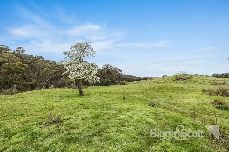 Third view of Homely land listing, 799 Basalt Road, Shepherds Flat VIC 3461