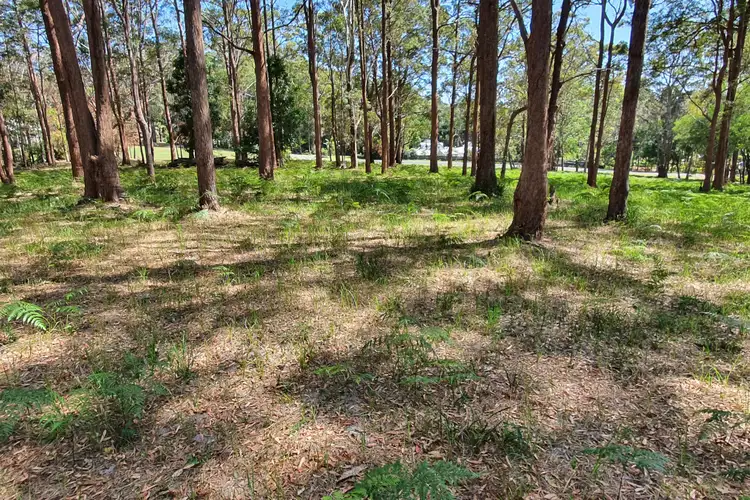 Third view of Homely land listing, 43 Wattlebird Drive, Doonan QLD 4562