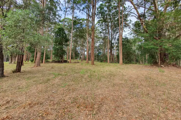 Fourth view of Homely land listing, 43 Wattlebird Drive, Doonan QLD 4562