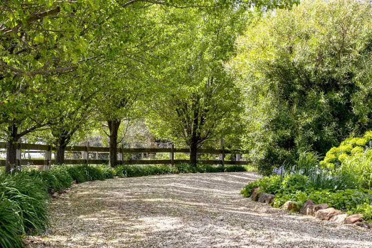 Fifth view of Homely house listing, 898 Porcupine Ridge Road, Porcupine Ridge VIC 3461