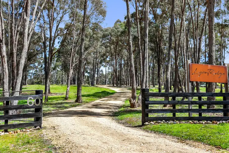 Fourth view of Homely house listing, 60 Pine Court, Porcupine Ridge VIC 3461